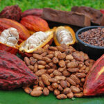 Tipos de cacao: Conociendo la riqueza aromatica de nuestra tierra