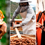 Secretos del tostado y secado: El camino hacia el sabor perfecto